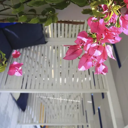 Otel Meltem *