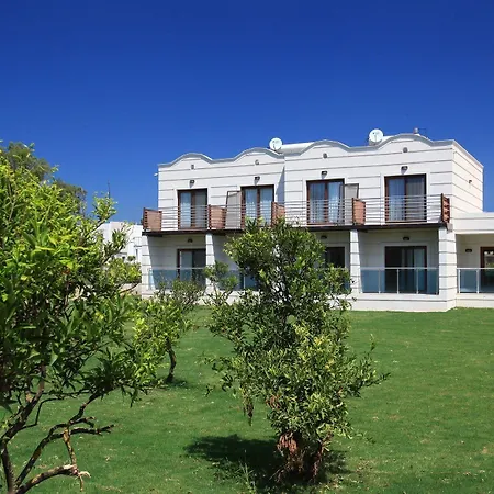 Meltem אורטקנט