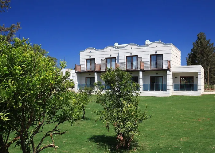 Meltem Ortakentyahşi