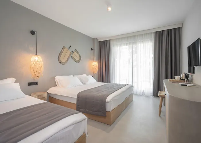 Meltem * Ortakentyahşi