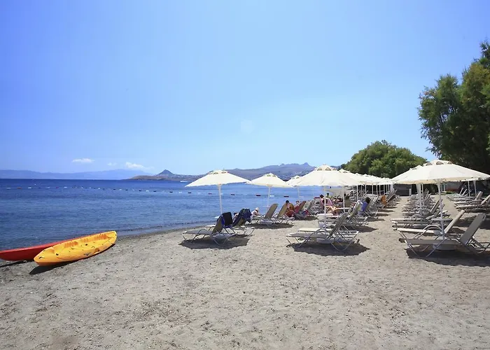 Meltem Ortakentyahşi