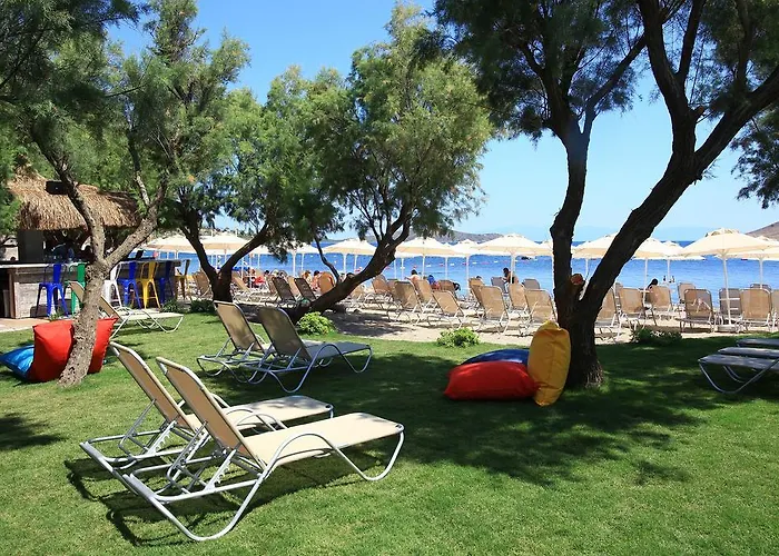 Meltem * Ortakentyahşi