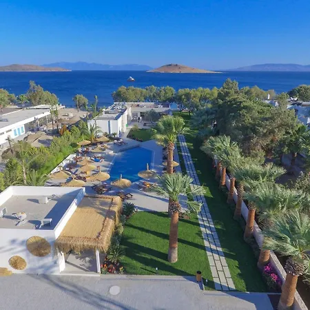 Hotel Meltem Ortakent