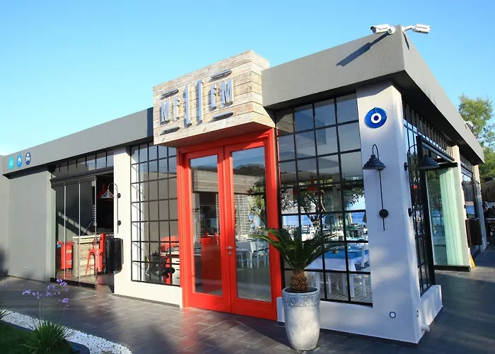 Meltem אורטקנט