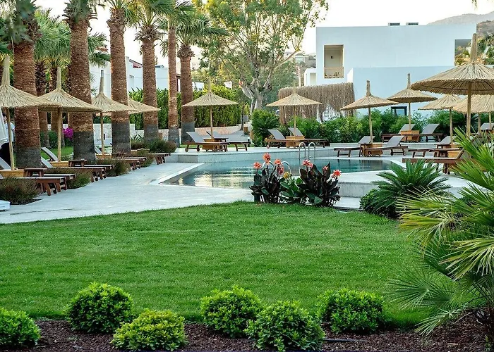 Meltem אורטקנט